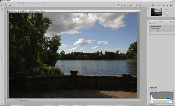 Das Originalbild in Capture NX2