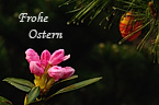 Frohe Ostern 2011