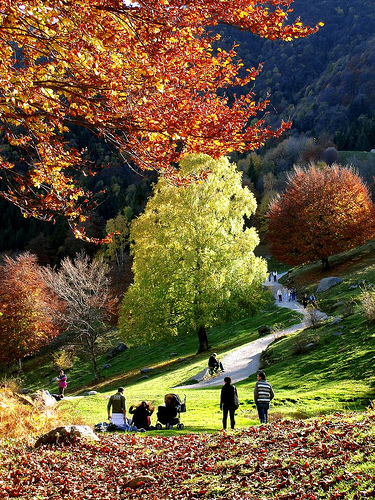 Platz 5: Una domenica autunnale